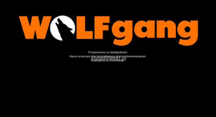 wolf-gang-polska-sp-z-o-o